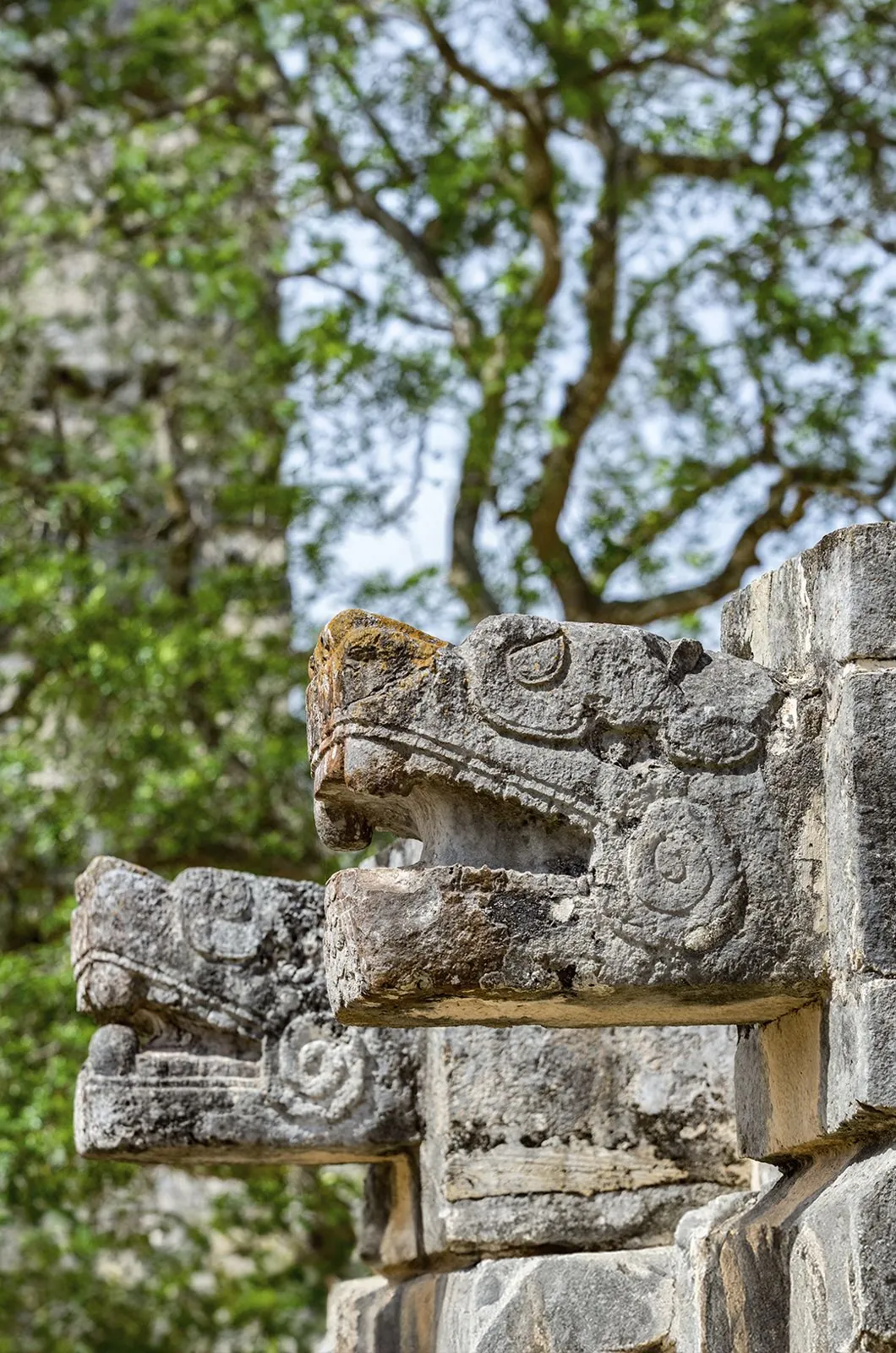 Chichén Itzá Express