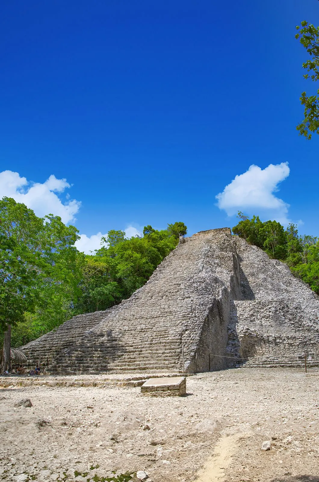 Cobá