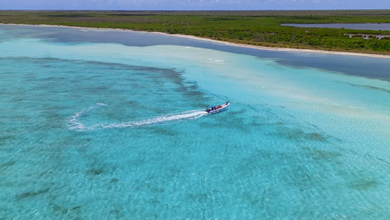 Cozumel sea safari, departing the island