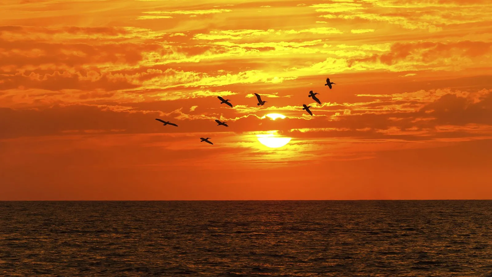 Sunset cruise