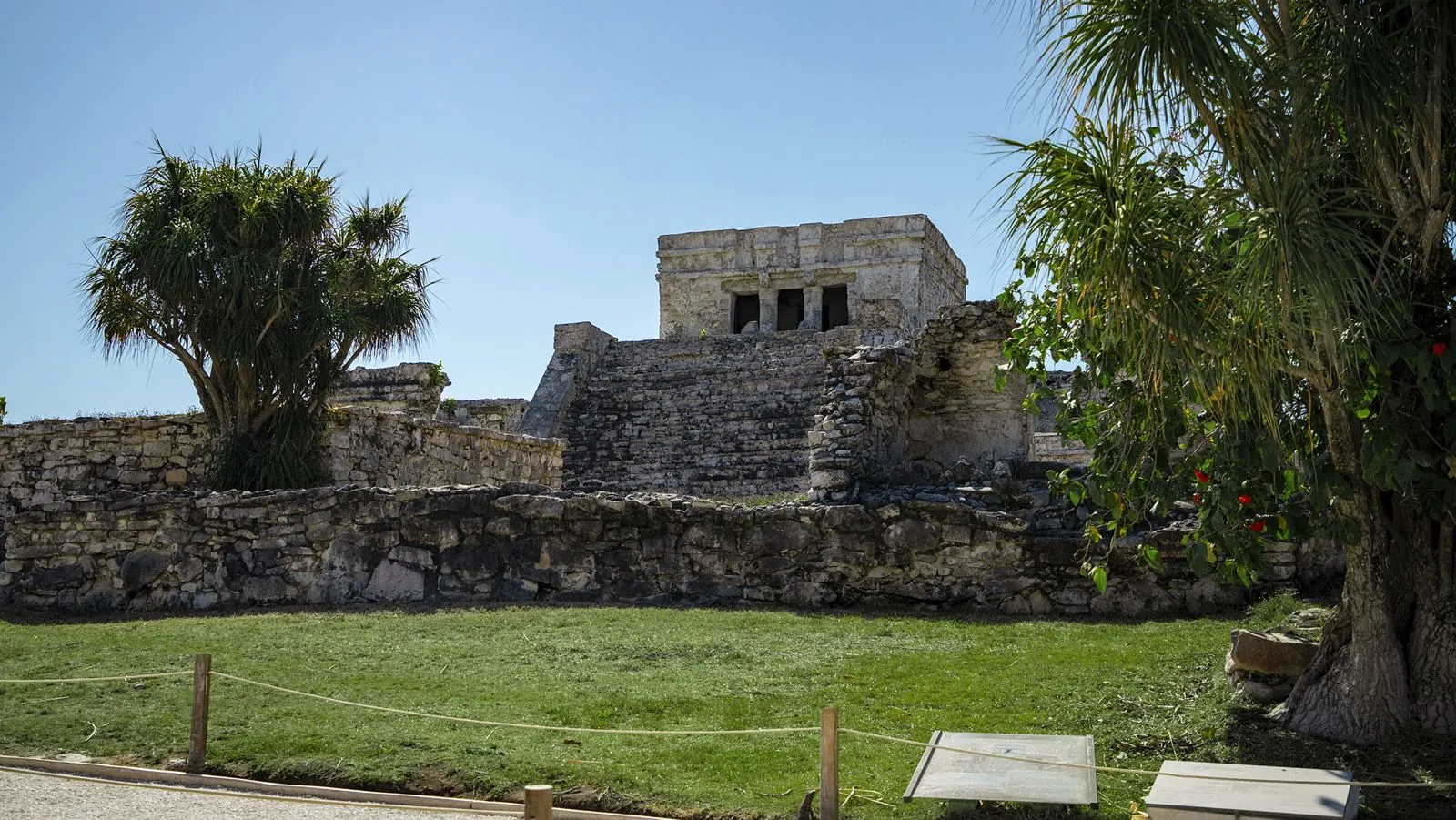 Tulum ruins, a cenote, turtles and a beach club